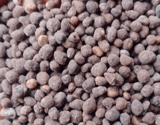 SPIC NPK Granulated Fertilizers [16:12:16]