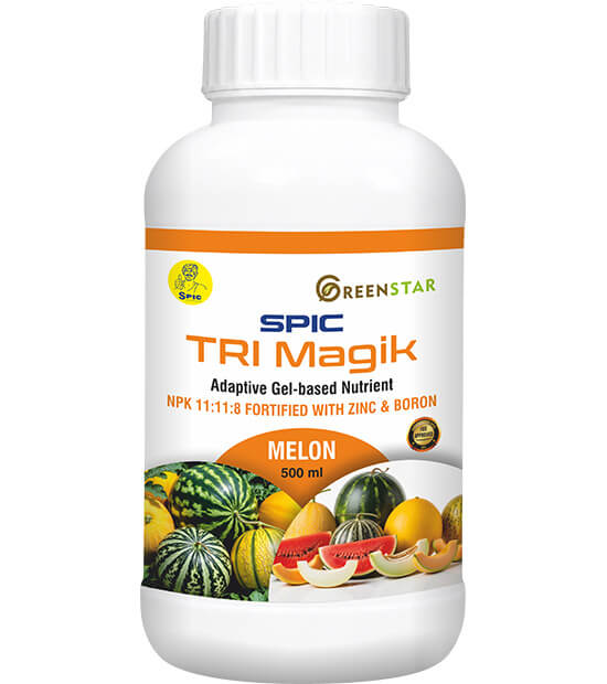 SPIC TRI Magik – Melon