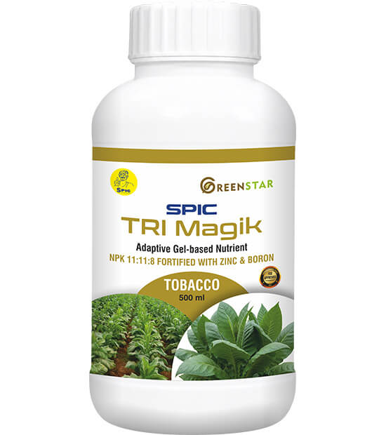 SPIC TRI Magik – Tobacco