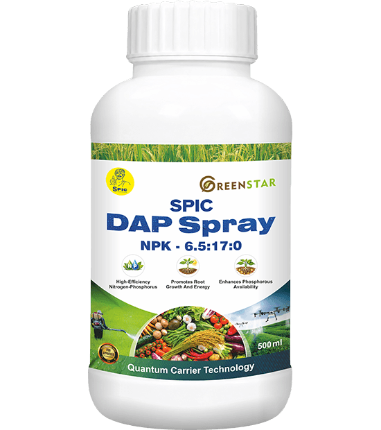 SPIC DAP Spray